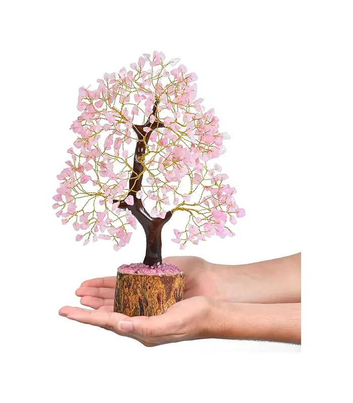 81cDH17-7oL._AC_SX679_